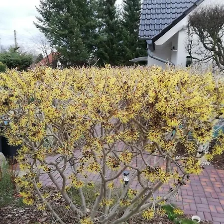 Ferienwohnung Familie Hülse Apartamento *